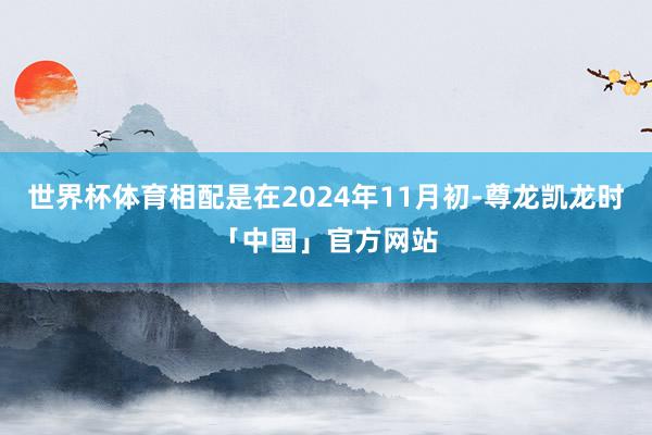 世界杯体育相配是在2024年11月初-尊龙凯龙时「中国」官方网站