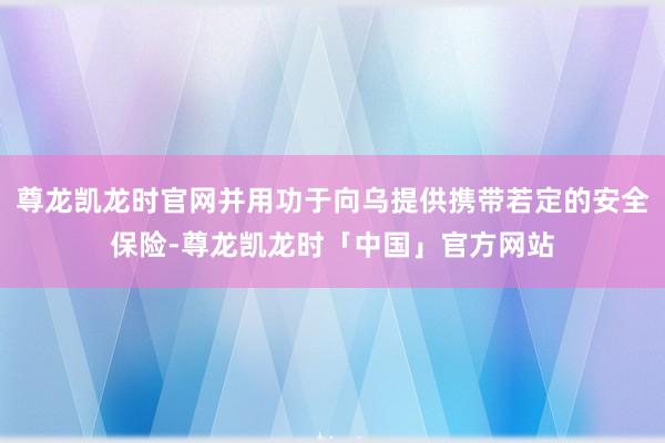 尊龙凯龙时官网并用功于向乌提供携带若定的安全保险-尊龙凯龙时「中国」官方网站