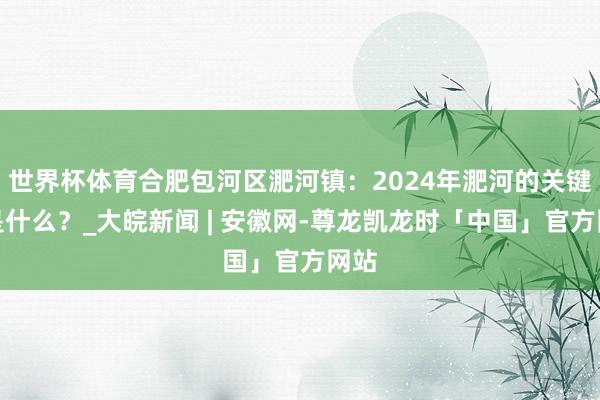 世界杯体育合肥包河区淝河镇：2024年淝河的关键词是什么？_大皖新闻 | 安徽网-尊龙凯龙时「中国」官方网站