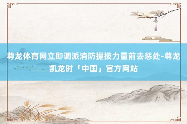 尊龙体育网立即调派消防提拔力量前去惩处-尊龙凯龙时「中国」官方网站