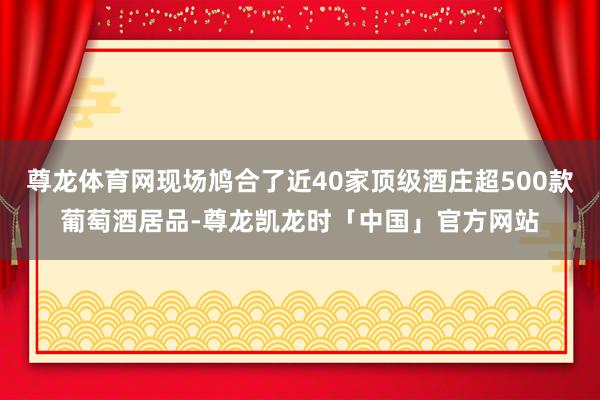 尊龙体育网现场鸠合了近40家顶级酒庄超500款葡萄酒居品-尊龙凯龙时「中国」官方网站
