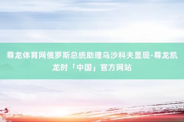 尊龙体育网俄罗斯总统助理乌沙科夫显现-尊龙凯龙时「中国」官方网站