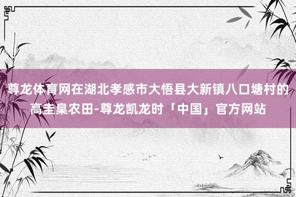 尊龙体育网在湖北孝感市大悟县大新镇八口塘村的高圭臬农田-尊龙凯龙时「中国」官方网站