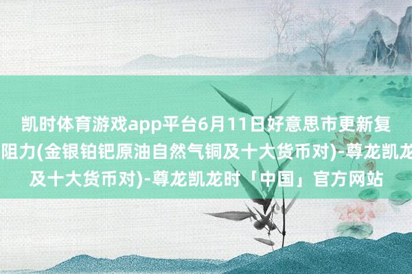 凯时体育游戏app平台6月11日好意思市更新复古阻力：18品种复古阻力(金银铂钯原油自然气铜及十大货币对)-尊龙凯龙时「中国」官方网站