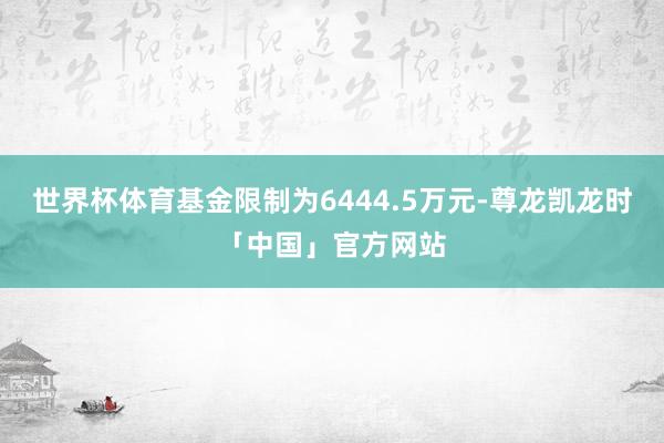 世界杯体育基金限制为6444.5万元-尊龙凯龙时「中国」官方网站