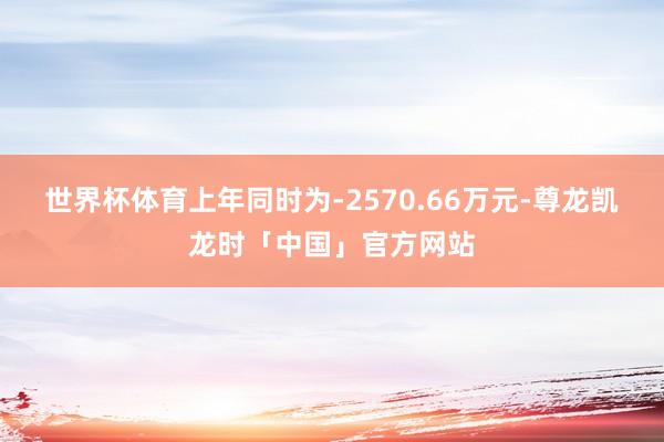 世界杯体育上年同时为-2570.66万元-尊龙凯龙时「中国」官方网站