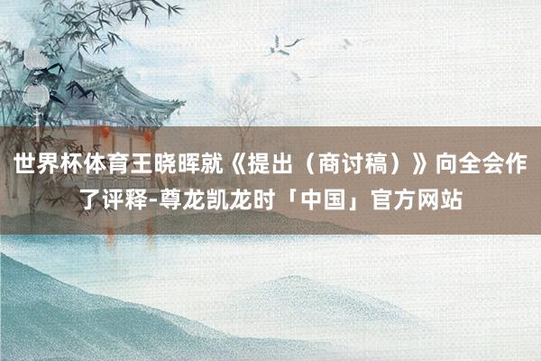 世界杯体育王晓晖就《提出（商讨稿）》向全会作了评释-尊龙凯龙时「中国」官方网站