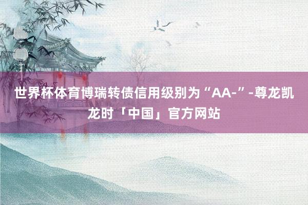 世界杯体育博瑞转债信用级别为“AA-”-尊龙凯龙时「中国」官方网站