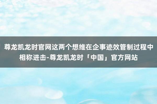尊龙凯龙时官网这两个想维在企事迹效管制过程中相称进击-尊龙凯龙时「中国」官方网站